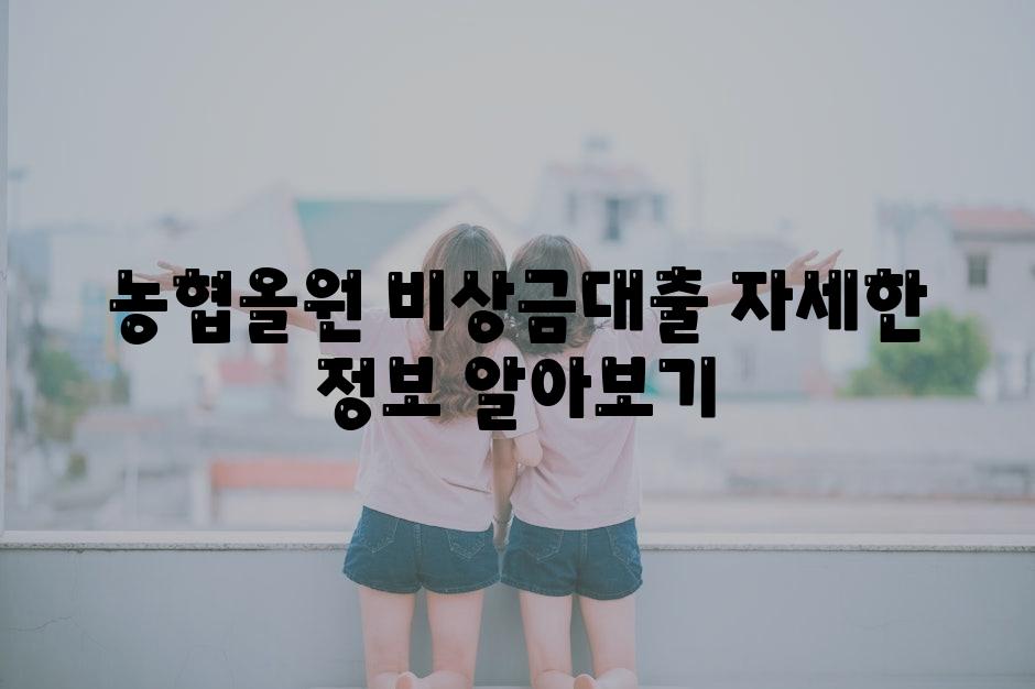 농협올원 비상금대출 자세한 정보 알아보기