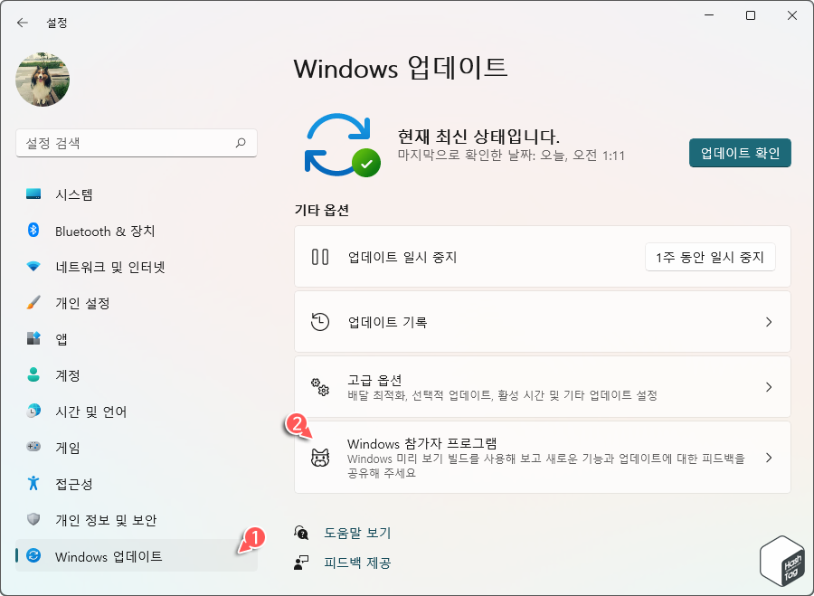 Windows 참가자 프로그램