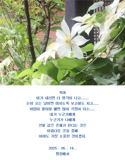 꽃잎담아 이미지
