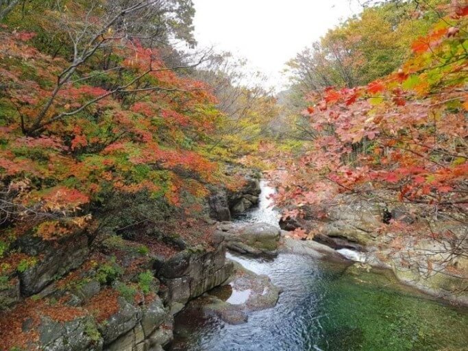 지리산 뱀사골 단풍