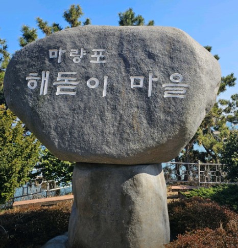 서천 동백꽃 주꾸미 축제 기본정보 프로그램 주변관광지