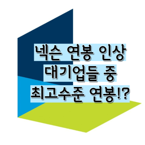 넥슨 연봉 인상 대기업들 중 최고수준 연봉