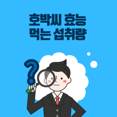  호박씨 효능 섭취량은 어디까지? 알아보자