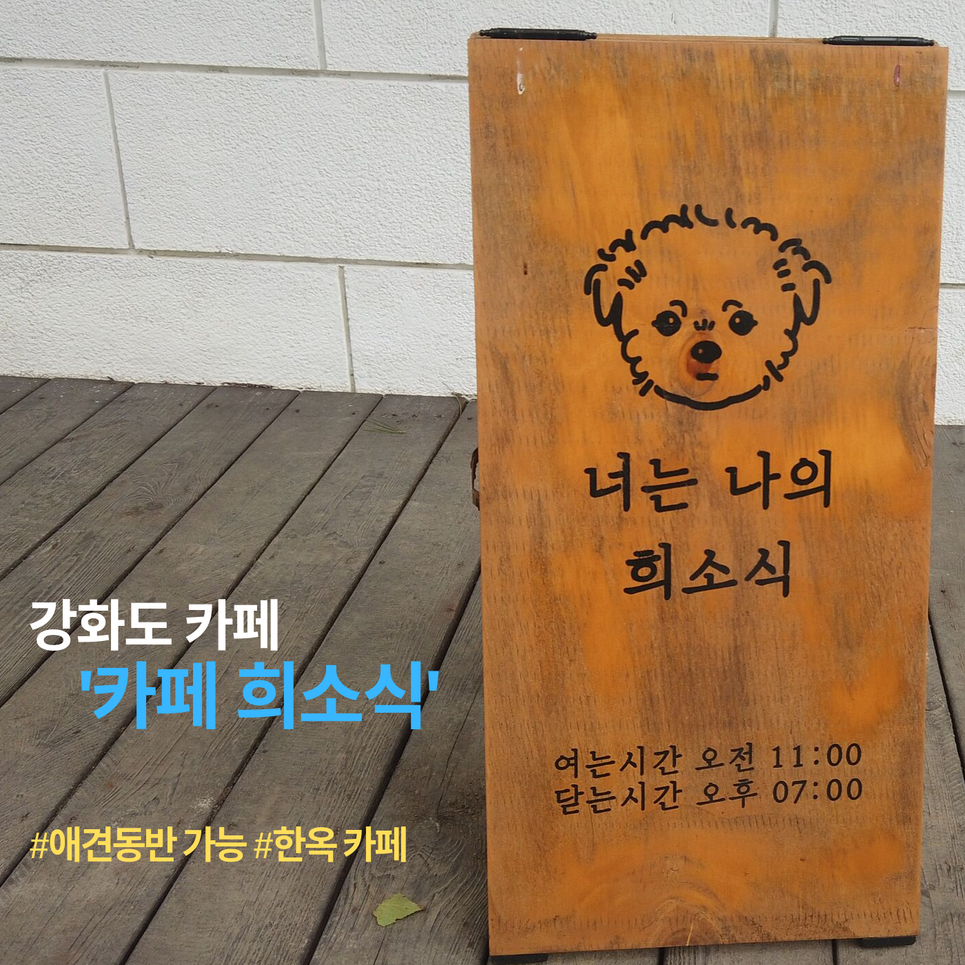  [강화도 여행] 강화도 카페 희소식 #강화도 한옥카페 #애견동반가능 #강화 애견동반가능 카페