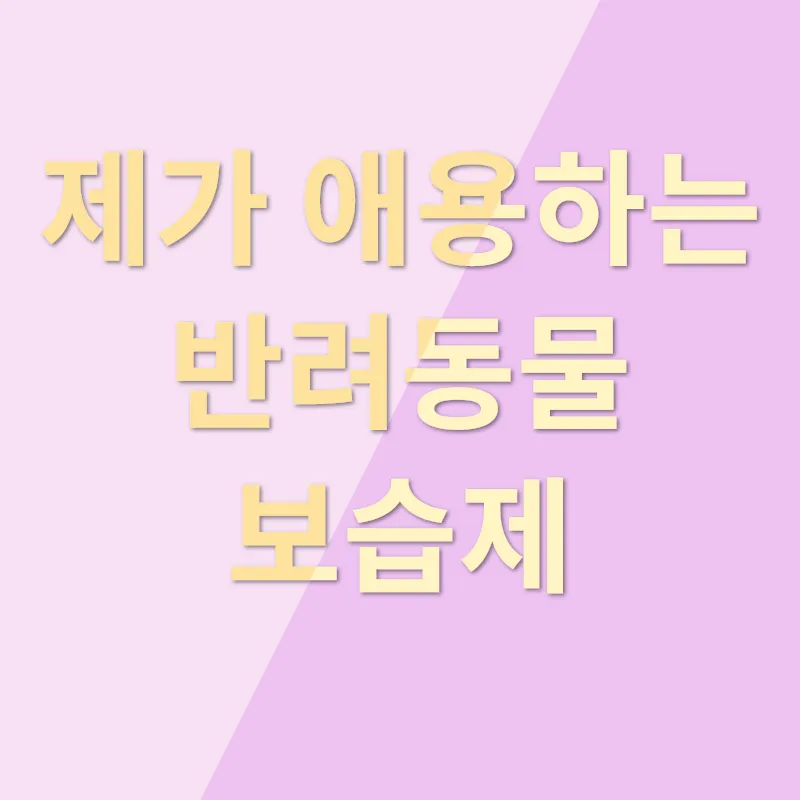반려동물 보습_3