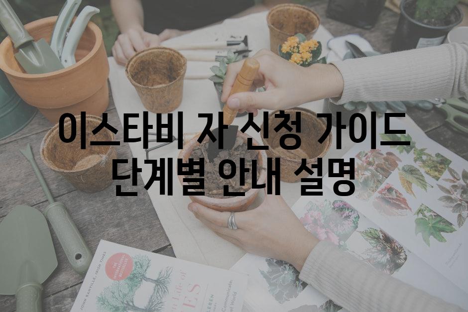 이스타비 자 신청 가이드 단계별 안내 설명