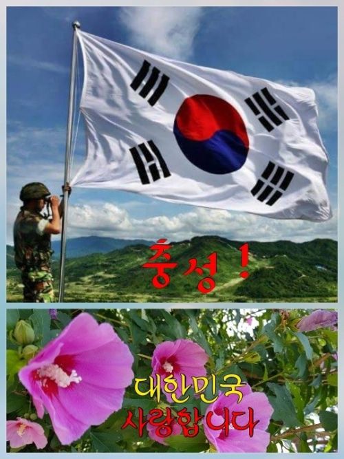 해병 당시 미부대》 4