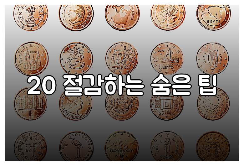 20 절감하는 숨은 팁