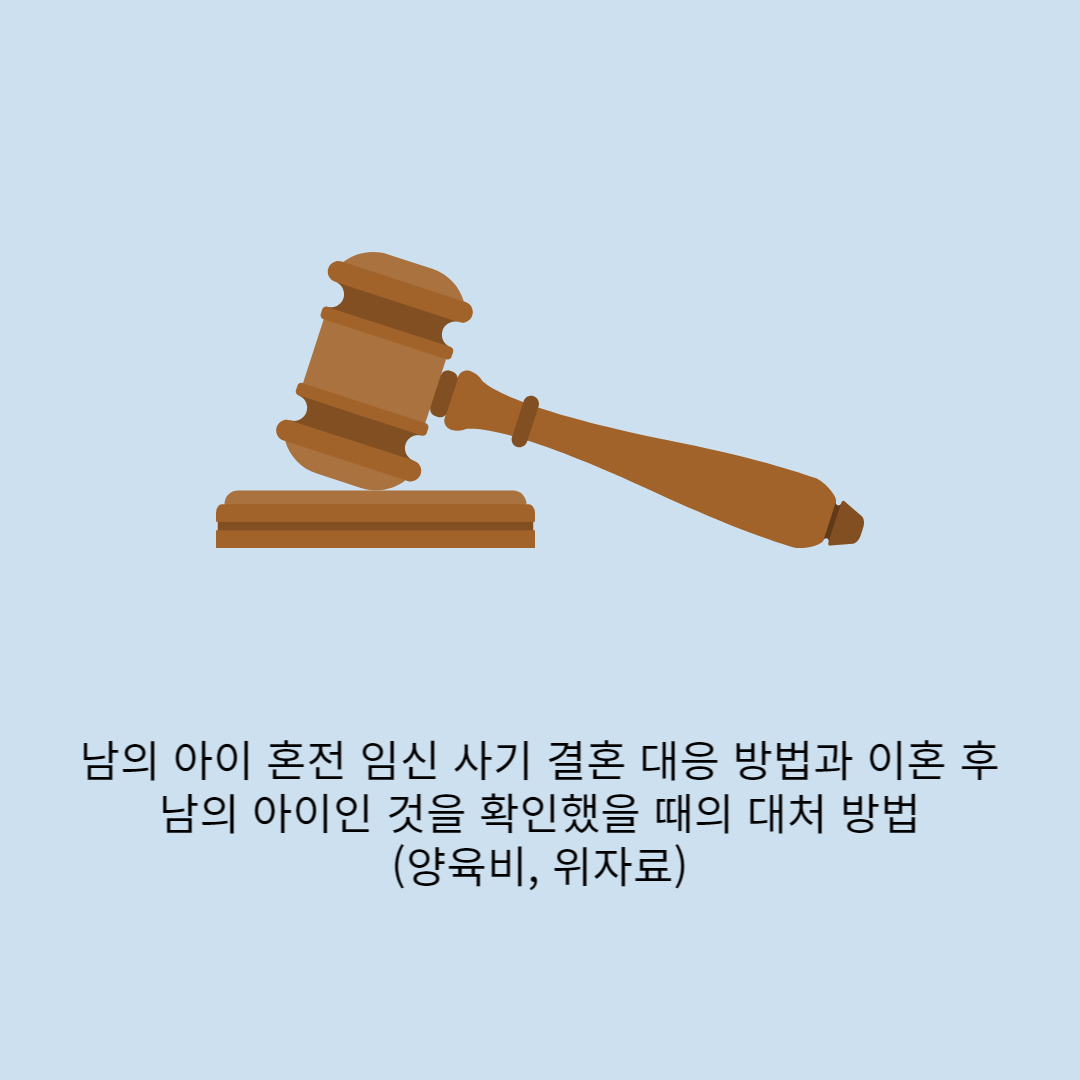  남의 아이 혼전 임신 사기 결혼 대응 방법과 이혼 후 남의 아이인 것을 확인했을 때의 대처 방법(양육비, 위자료)