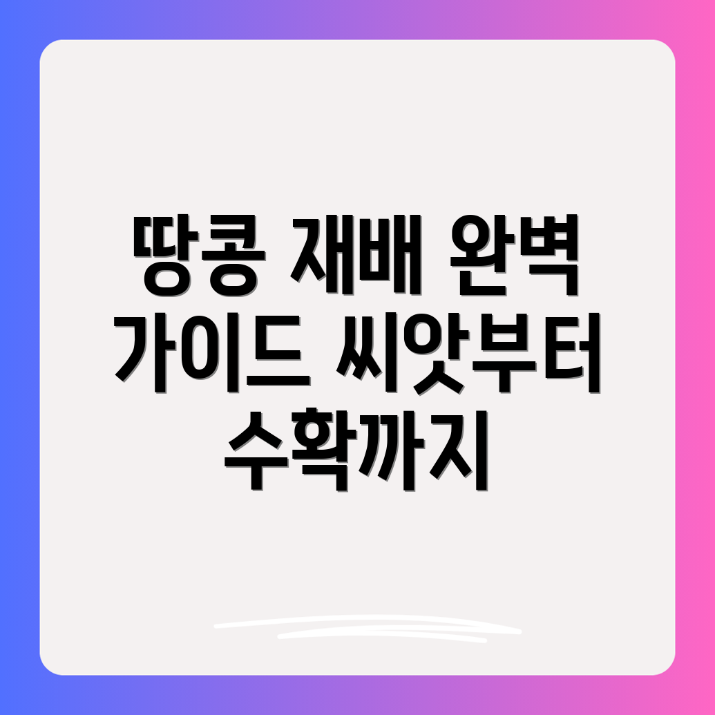 땅콩 재배