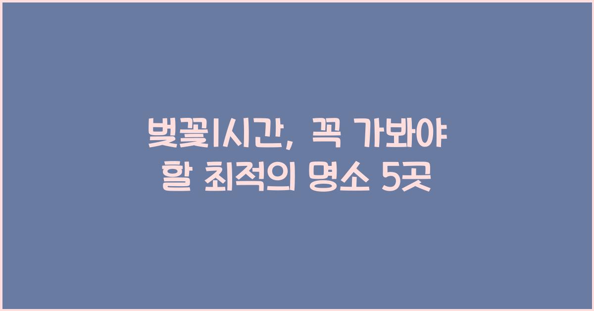 벚꽃1시간