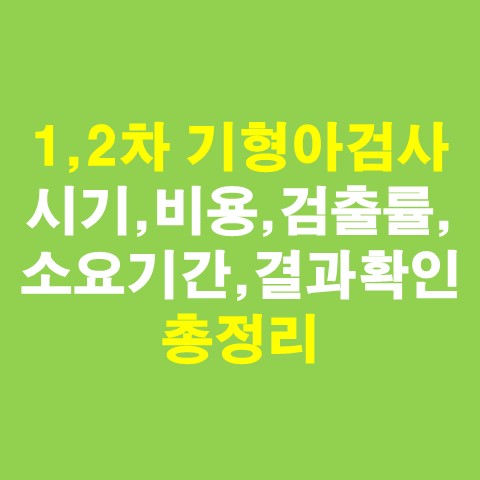  1차, 2차 기형아검사(쿼드검사, 목투명대검사, 인터그레이티드검사) 시기, 비용, 검출률, 결과 총정리