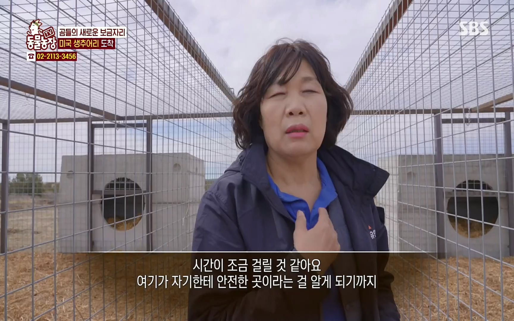 TV 동물농장.E1063.220403p.H264-F1RST.mp4_20220403_175137.760.jpg