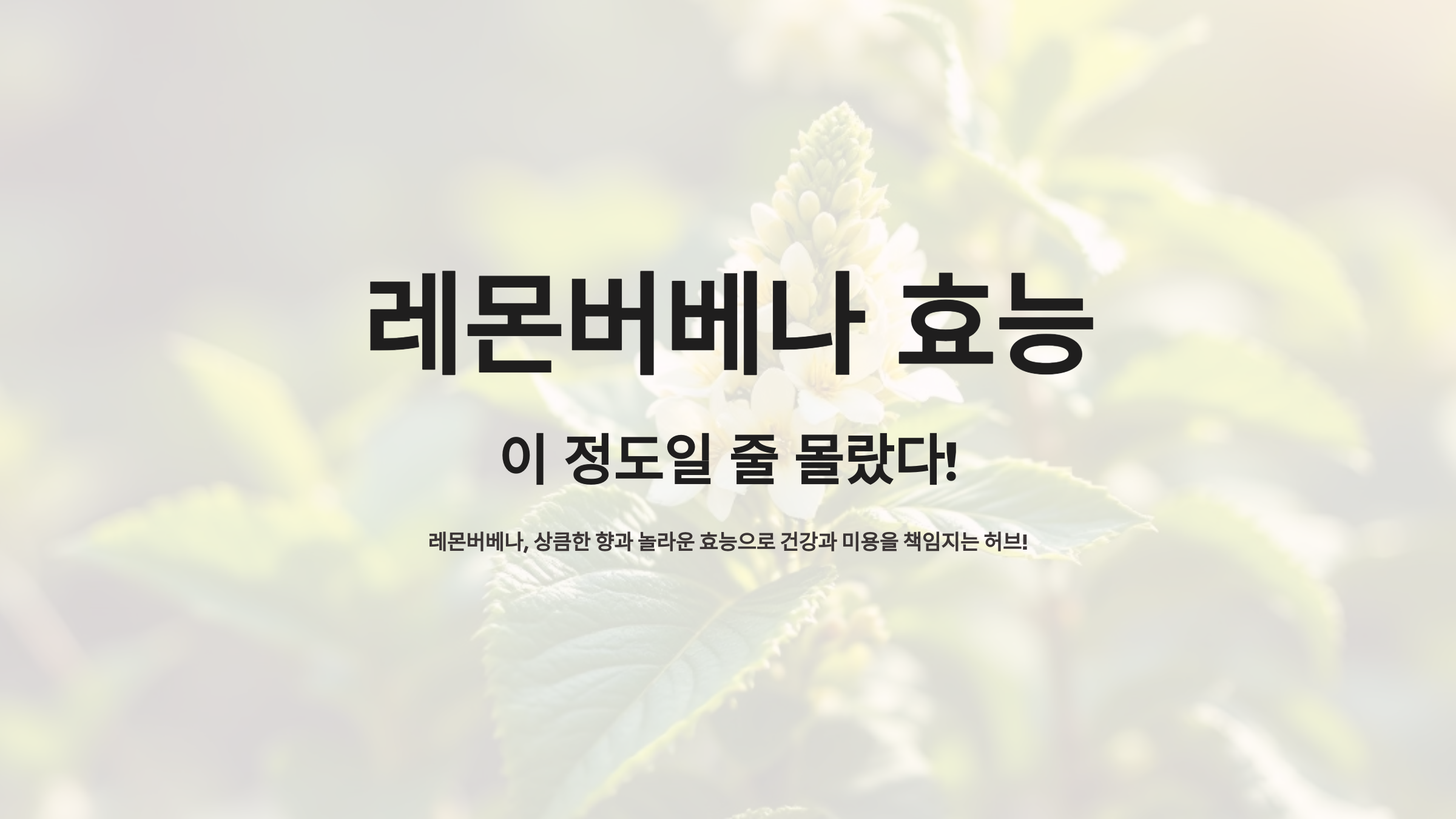 레몬버베나 효능, 이 정도일 줄 몰랐다