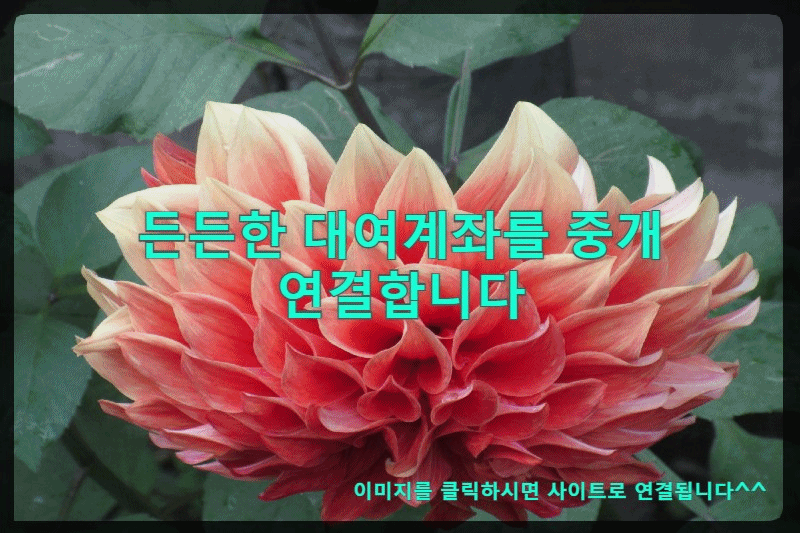  6월1일 시황