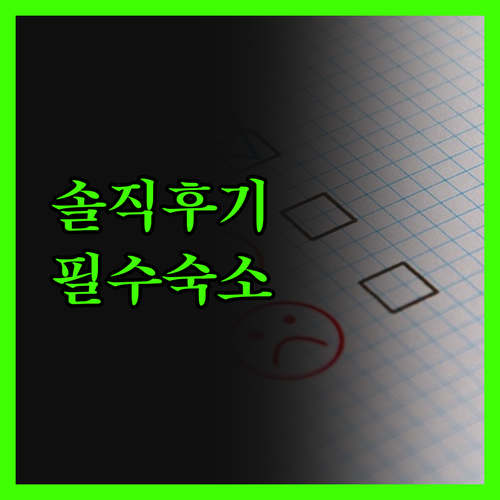 모텔 온 캐롤, 더니든 여행객 필수 