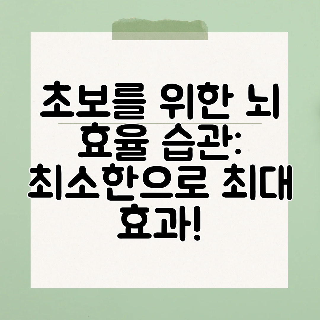 초보를 위한 뇌 효율 습관 최소한으로 최대 효과!