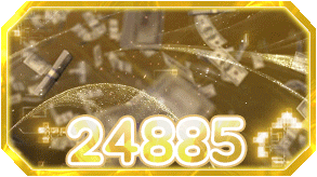 24885