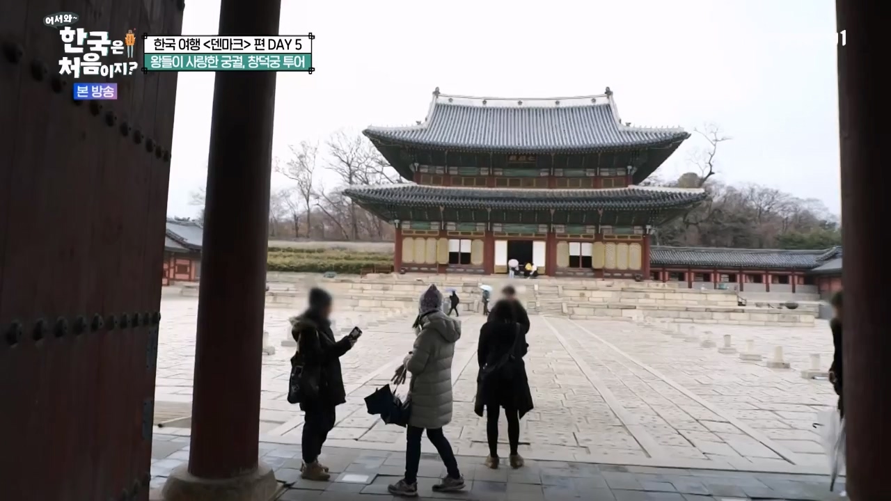 어서와 한국은 처음이지 시즌2.E306.240315p-NEXT.mp4_20240315_202616.586.jpg