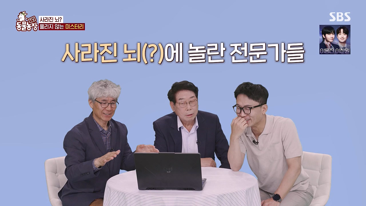 TV 동물농장.E1179.240708p-NEXT.mp4_20240707_160430.019.jpg