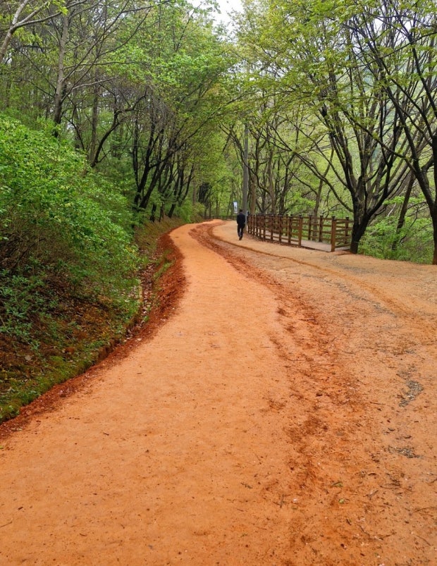계족산 황톳길