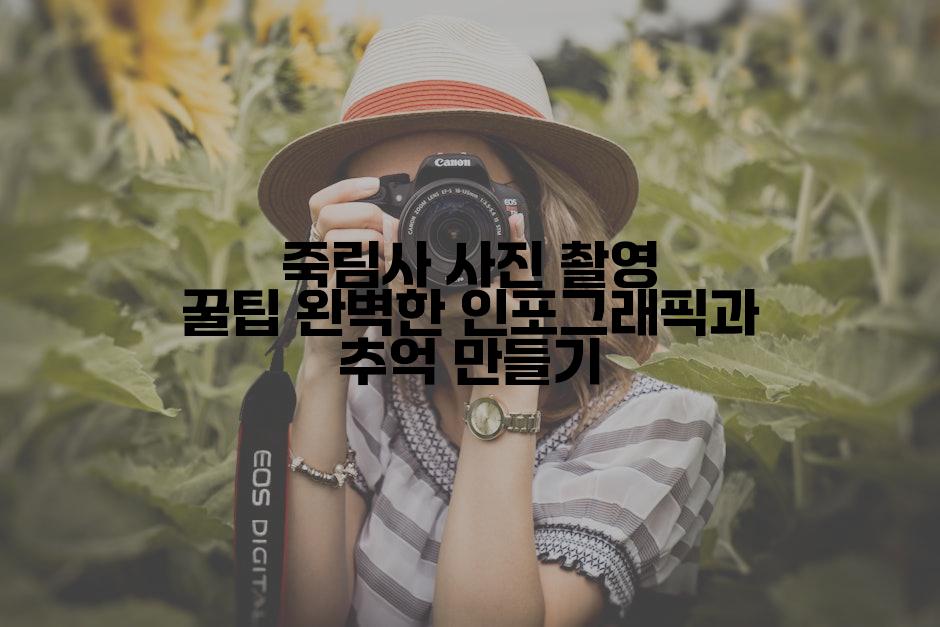 죽림사 사진 촬영 꿀팁 완벽한 인포그래픽과 추억 만들기