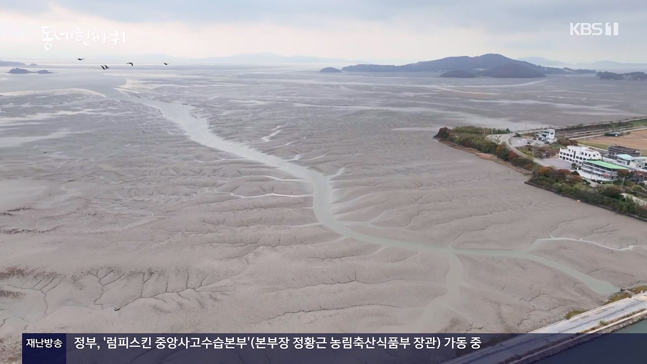 동네 한 바퀴.E249.231126p-NEXT.mp4_20231127_211801.705.jpg