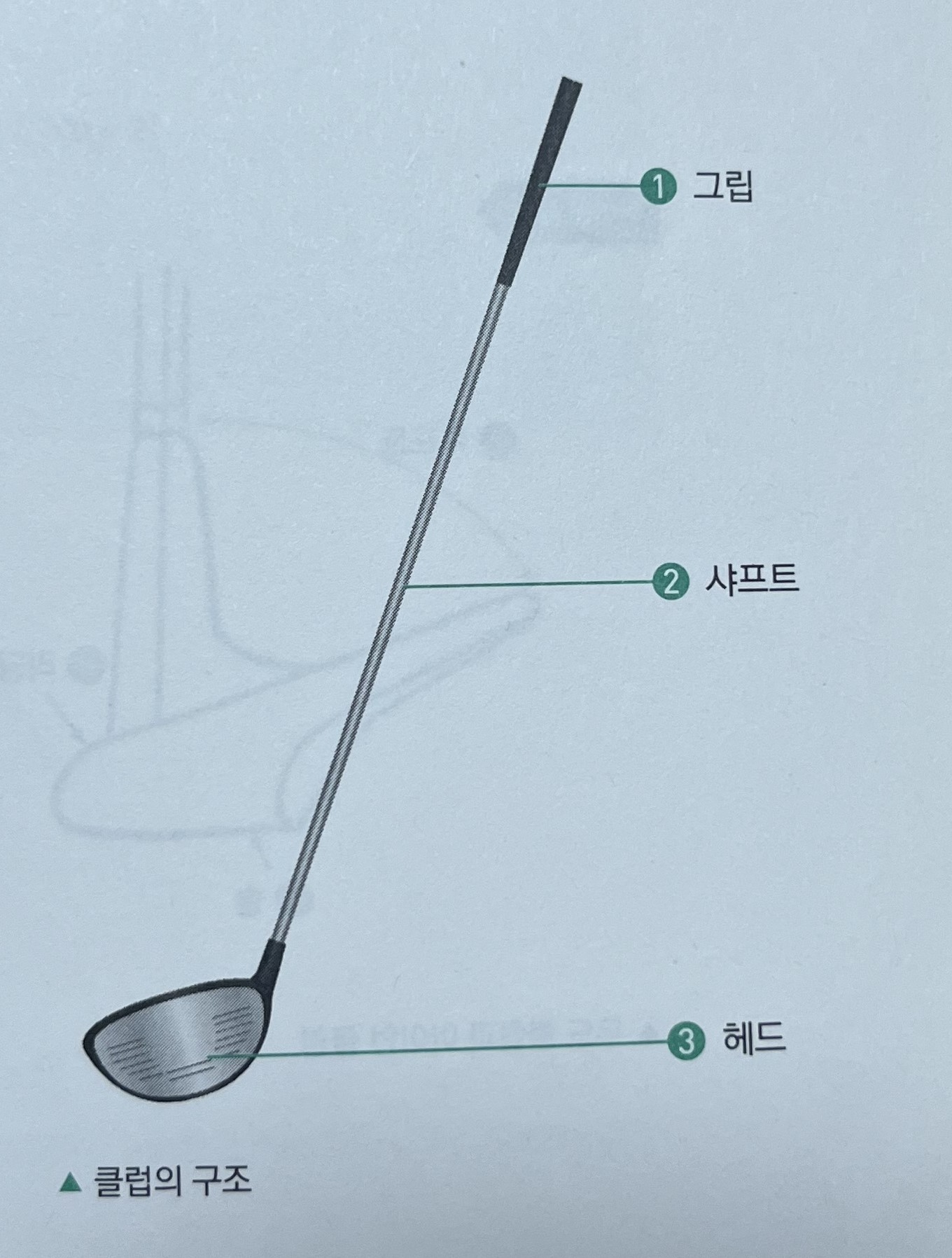 클럽의 구조