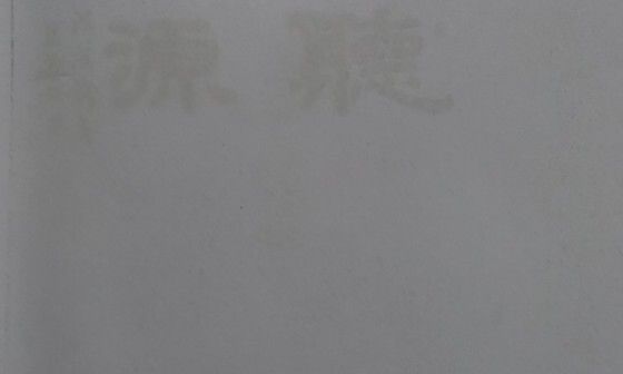 영상일기/20230216/나대자연 74