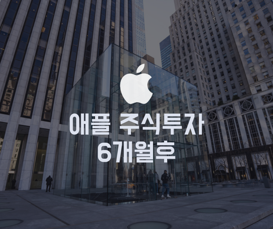  애플 주식투자 6개월 20일후 [ AAPL / 배당 / 주가 향후 전망 ]