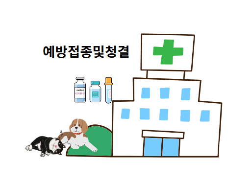예방접종및청결유지