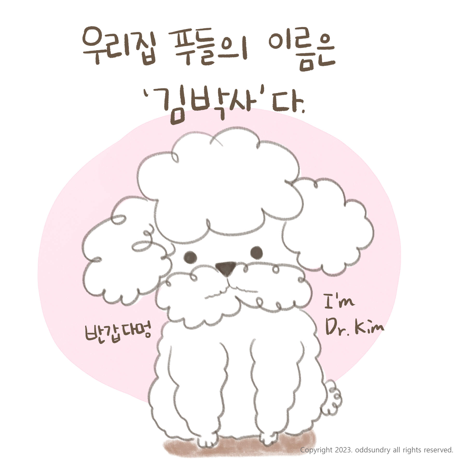  [일상툰]비바! 오드쓰 2화: 우리집 푸들의 이름은 김박사다.