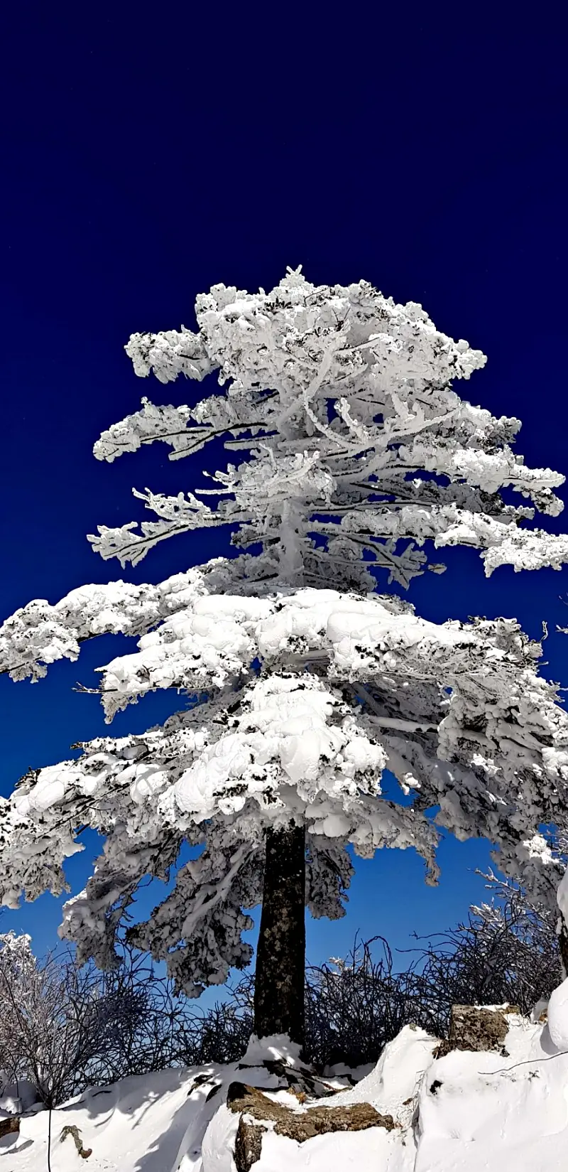 지리산 설경 상고대