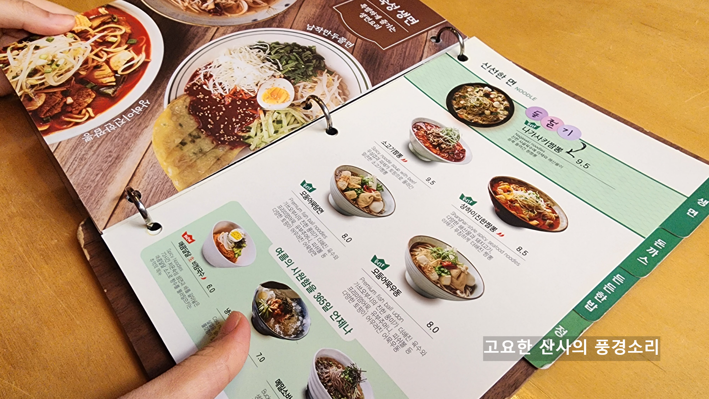 국수나무 이미지