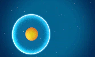 Cell