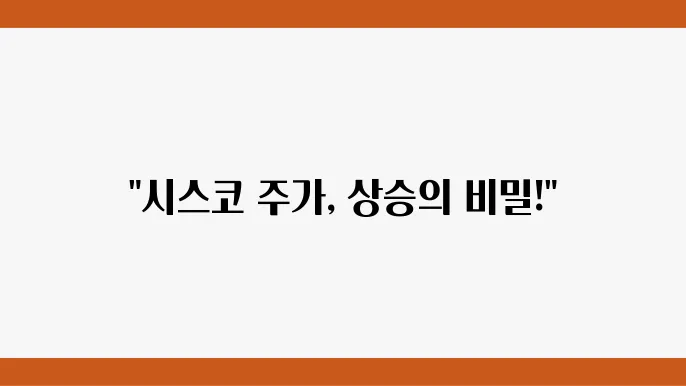 시스코 주가 정보 네트워크 장비 관련주 주식 정보