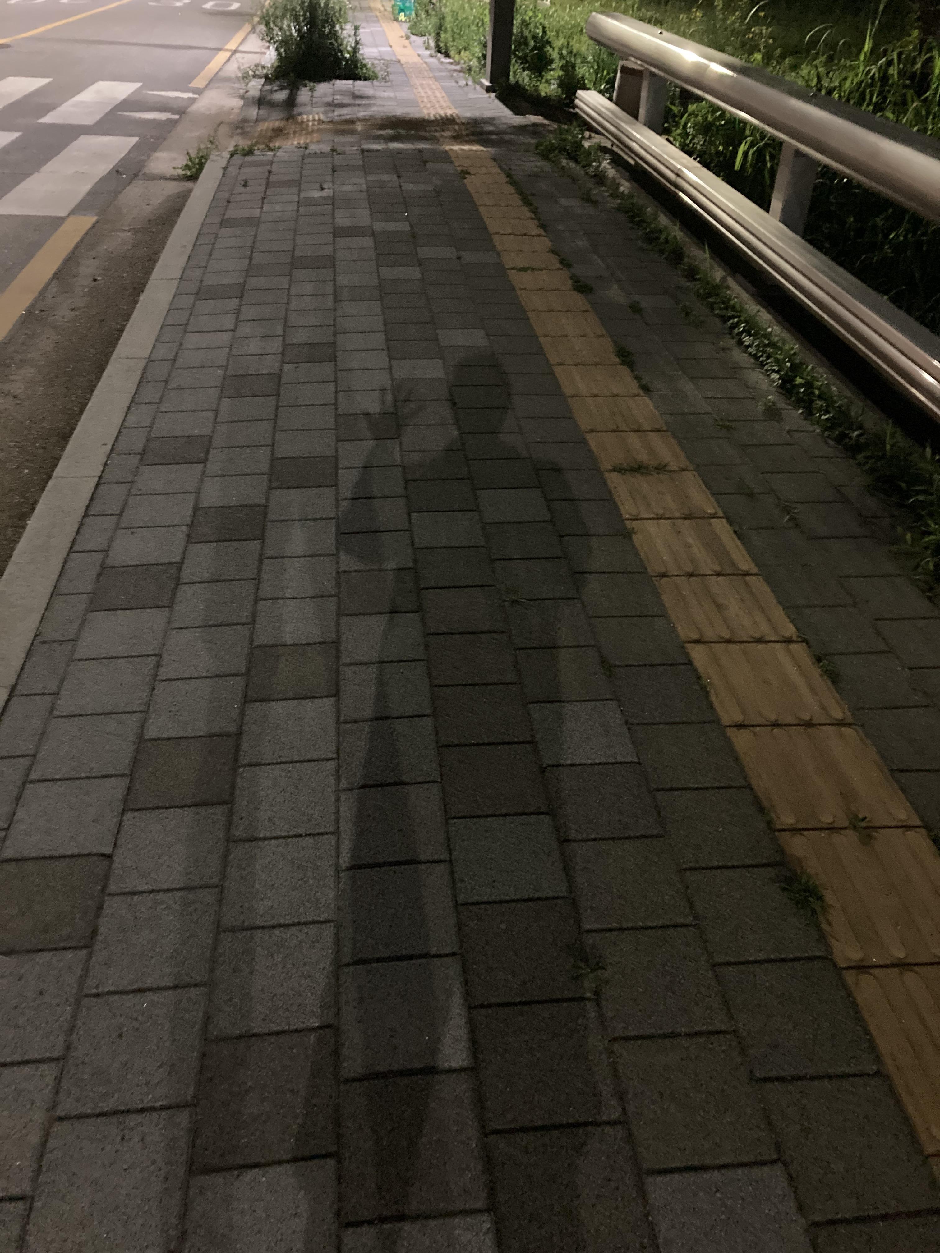  오늘의 일상_"달리기"