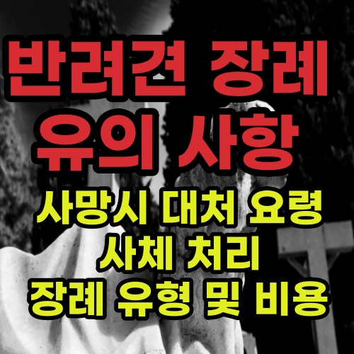  반려견 장례 방법 (ft. 강아지 화장 비용 / 사망시 대처 요령)