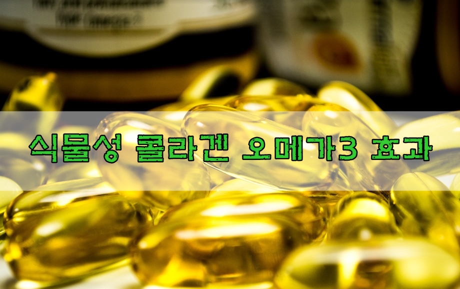  식물성콜라겐 오메가3 효과와 주의할 점