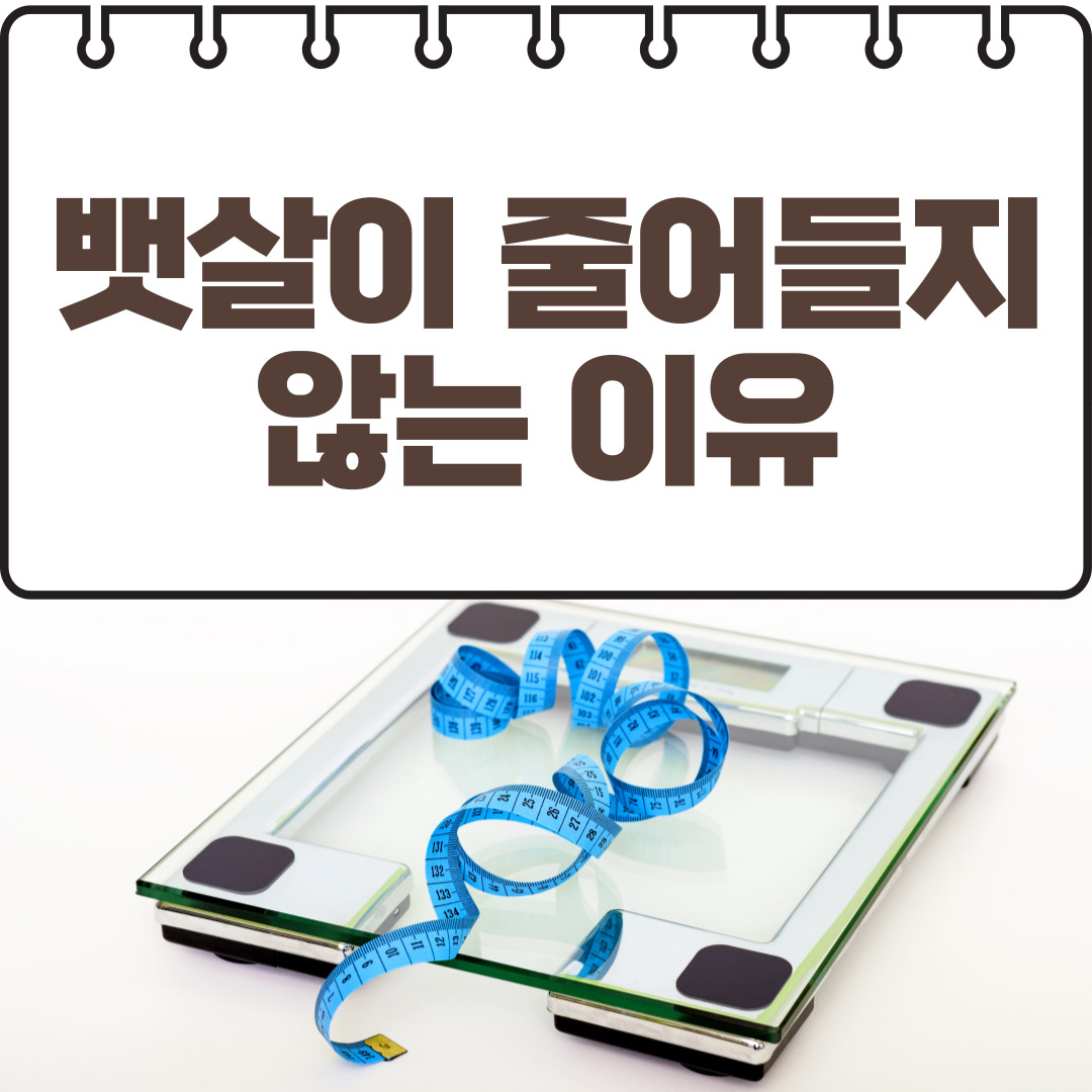 뱃살이 줄어들지 않는 이유