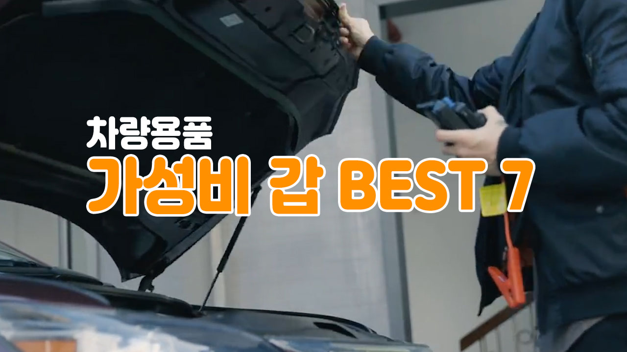 차량용품 가성비 갑
