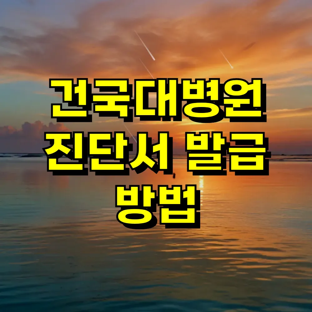 건국대병원 진단서 발급 방법