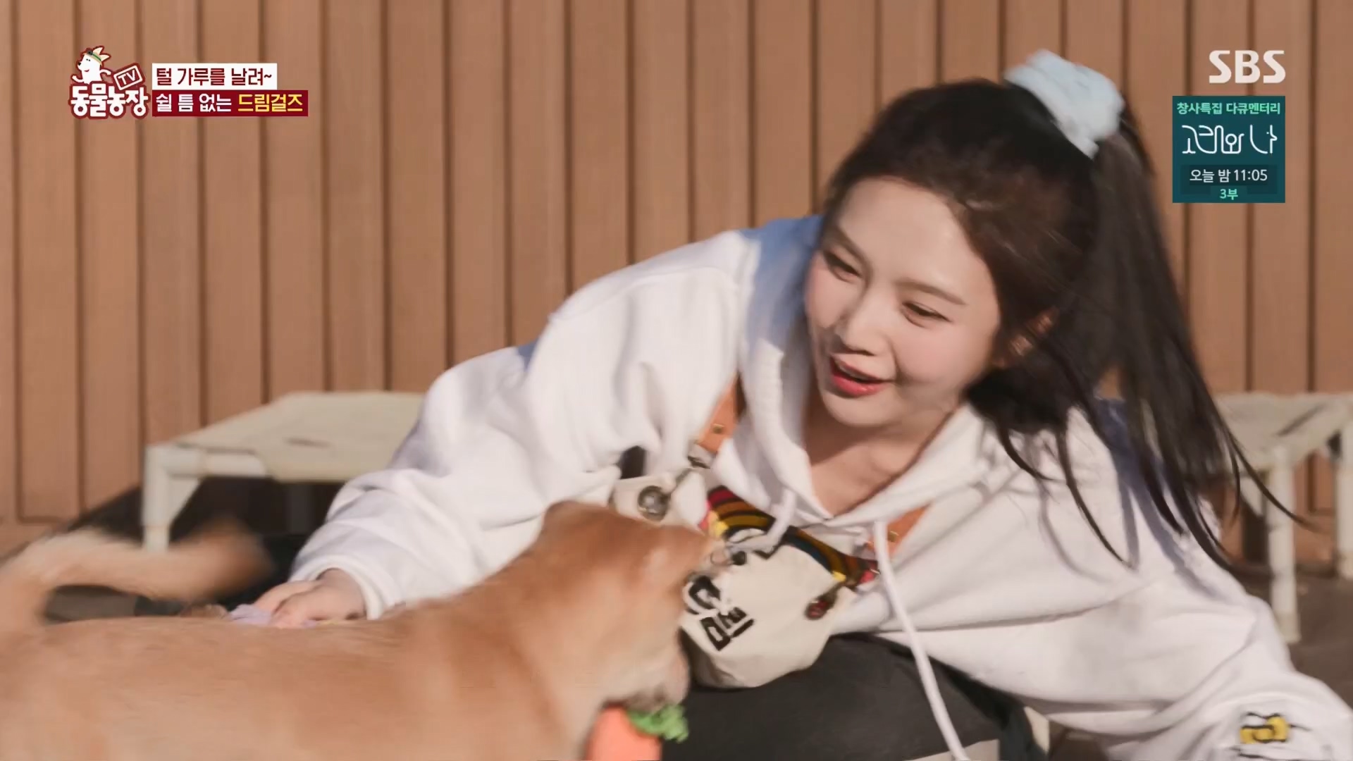 TV 동물농장.E1148.231203p.H264-F1RST.mp4_20231203_181441.516.jpg