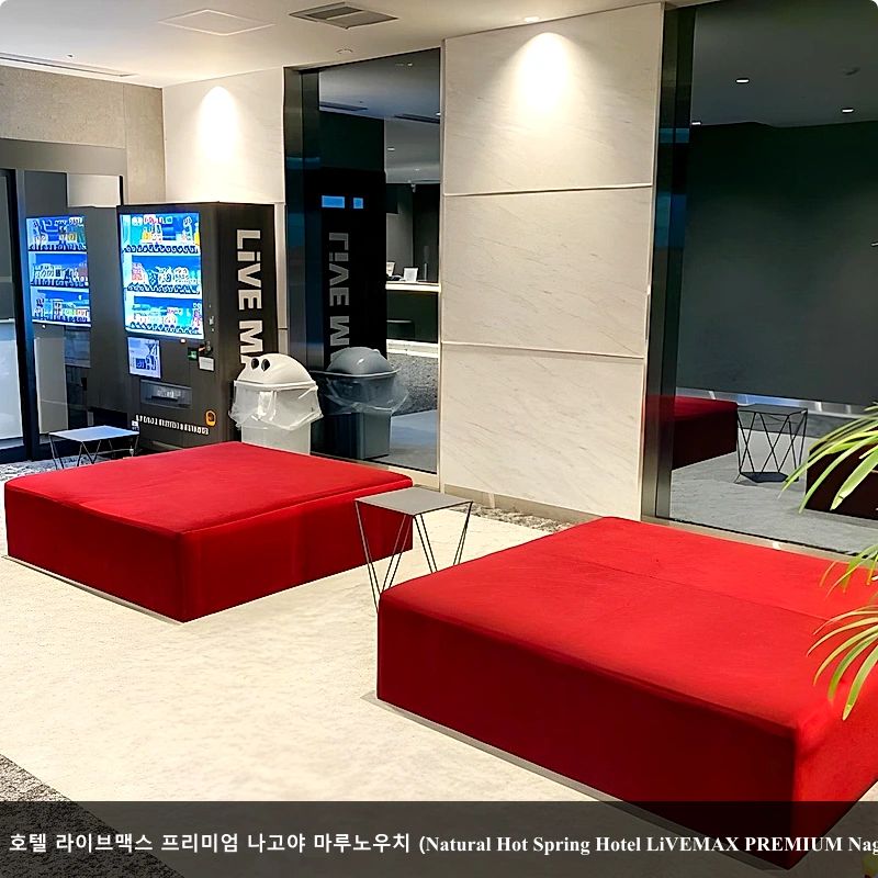 내추럴 핫 스프링 호텔 라이브맥스 프리미엄 나고야 마루노우치 (Natural Hot Spring Hotel LiVEMAX PREMIUM Nagoya Marunouchi)_5