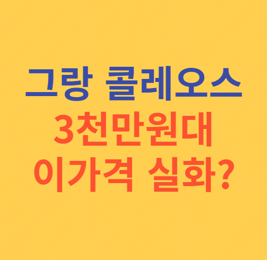 그랑 콜레오스 가격