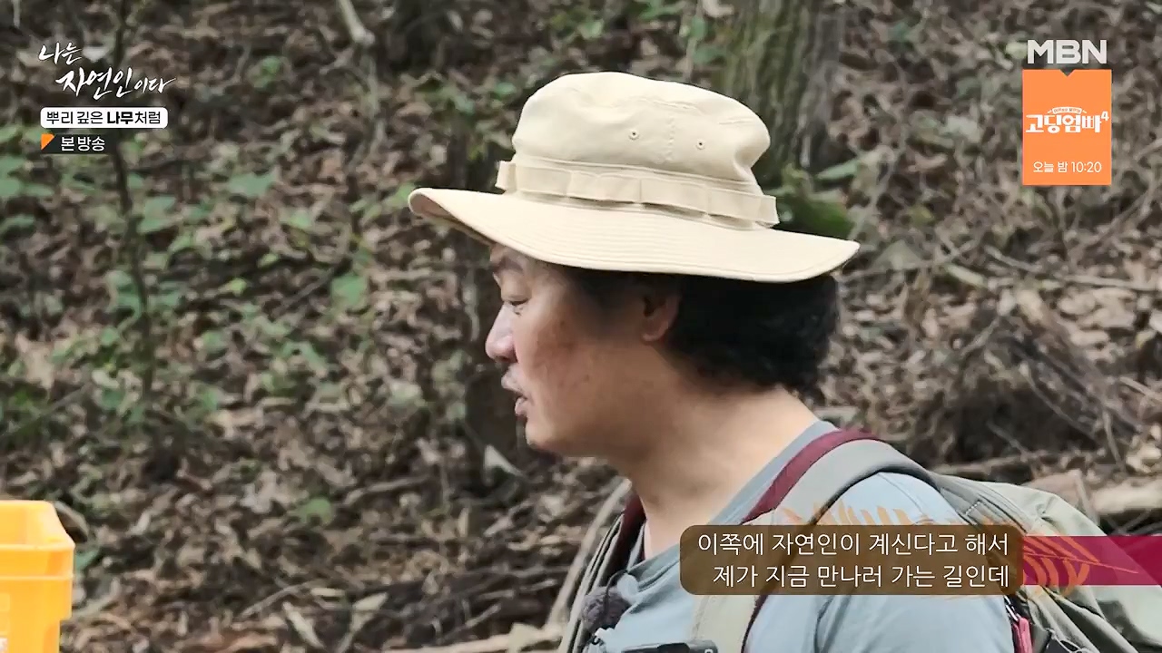나는 자연인이다.E571.230914p-NEXT.mp4_20230914_202142.606.jpg