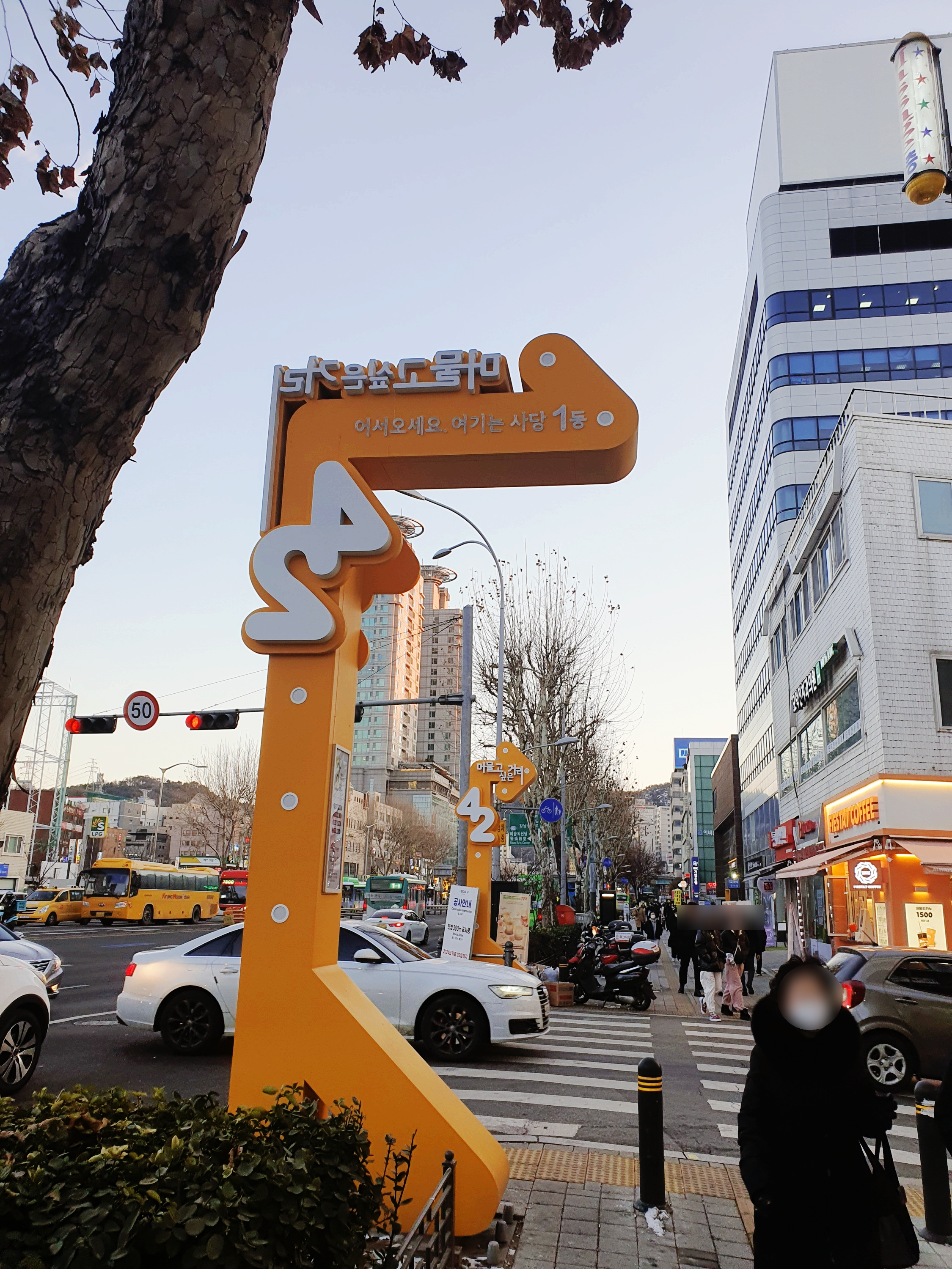 비스트로안 이미지