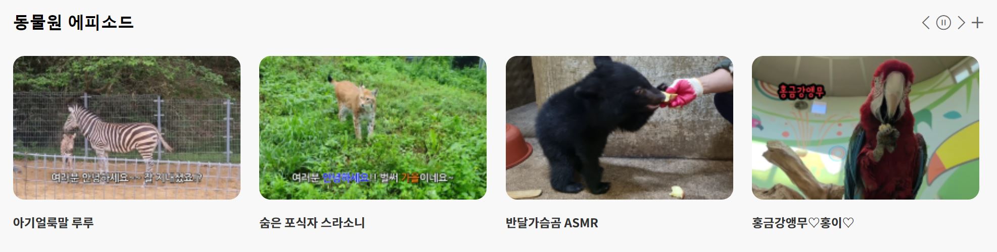 광주 여행 - 6 아이와 함께 역사, 박물관, 동물원 당일치기 관광 명소 추천 여행지도 전라도 광주