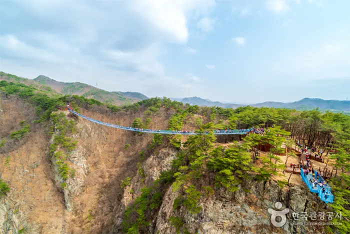 원주 소금산 출렁다리 전경 이미지