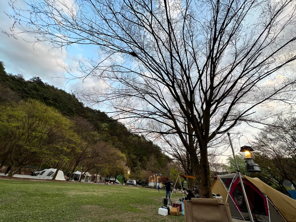 치악 신림 오토 캠핑장의 저녁